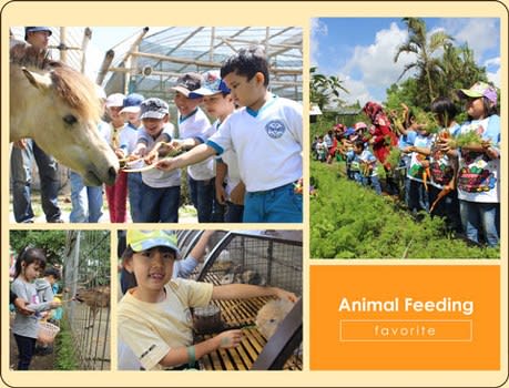 Animal Feeding di Jendela Alam